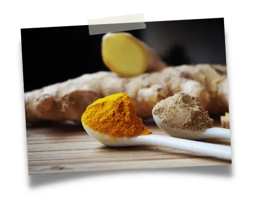 Fiche technique Curcuma Tonic BIO - ETIENNE Coffee & Shop