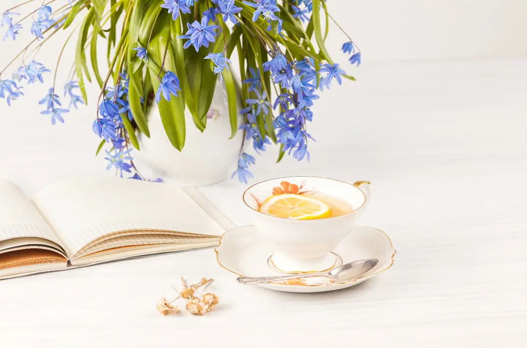 Photo-article-fete-grand-mere