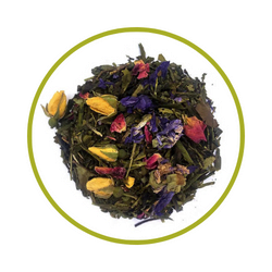 voyage-en-perse-blog