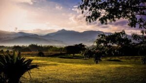 cafés d'exception ETIENNE Coffee & Shop