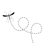 astuces contre les moustiques marc de café