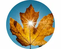 ETIENNE Coffee & Shop thé du mois septembre 23