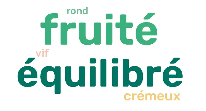 Café D'exception BRESIL SANTA LUZIA